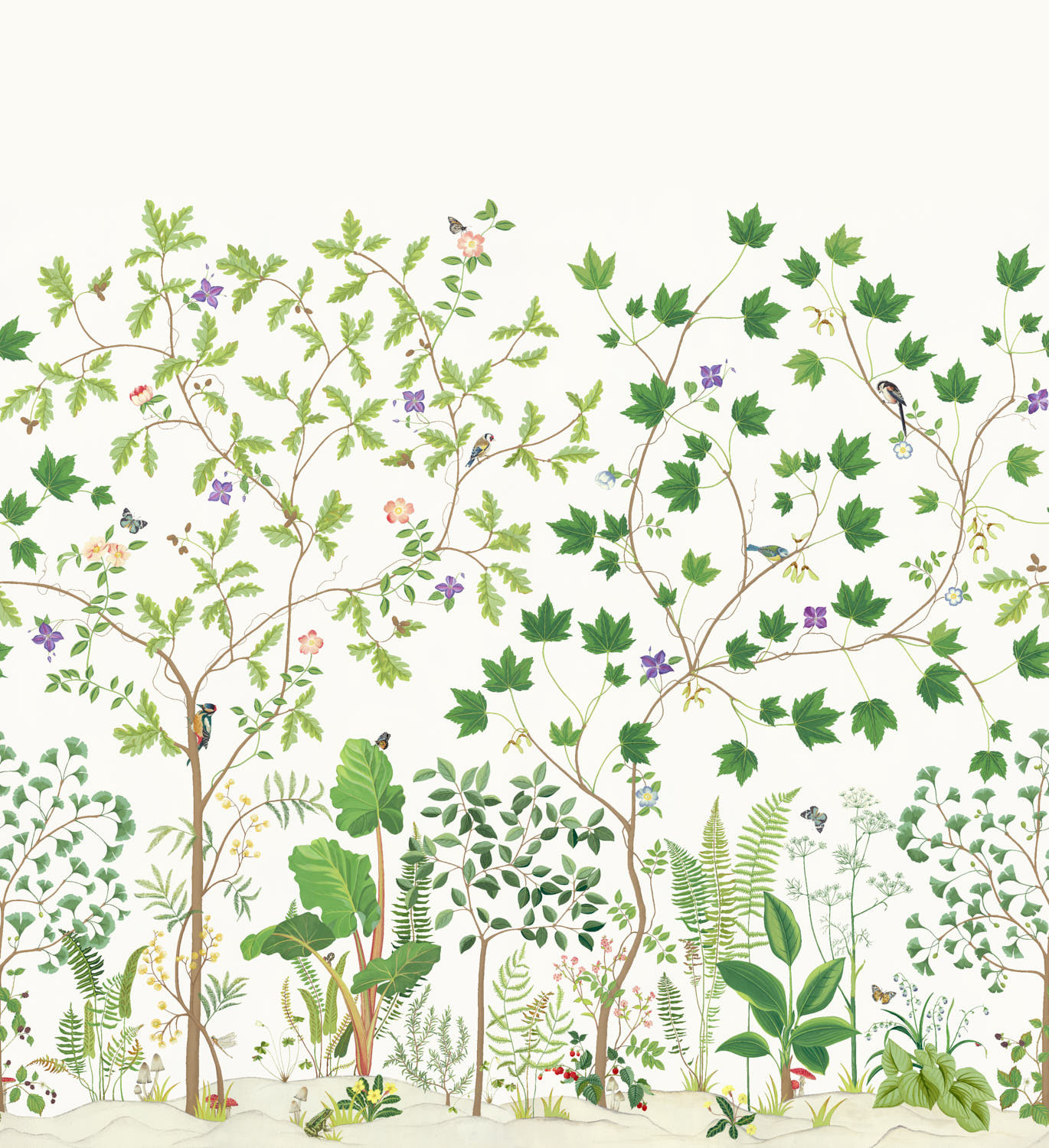 Sanderson Arboretum - 217211
