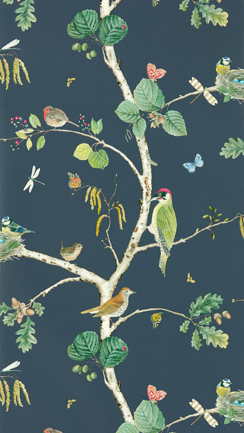 Sanderson Arboretum - 217231