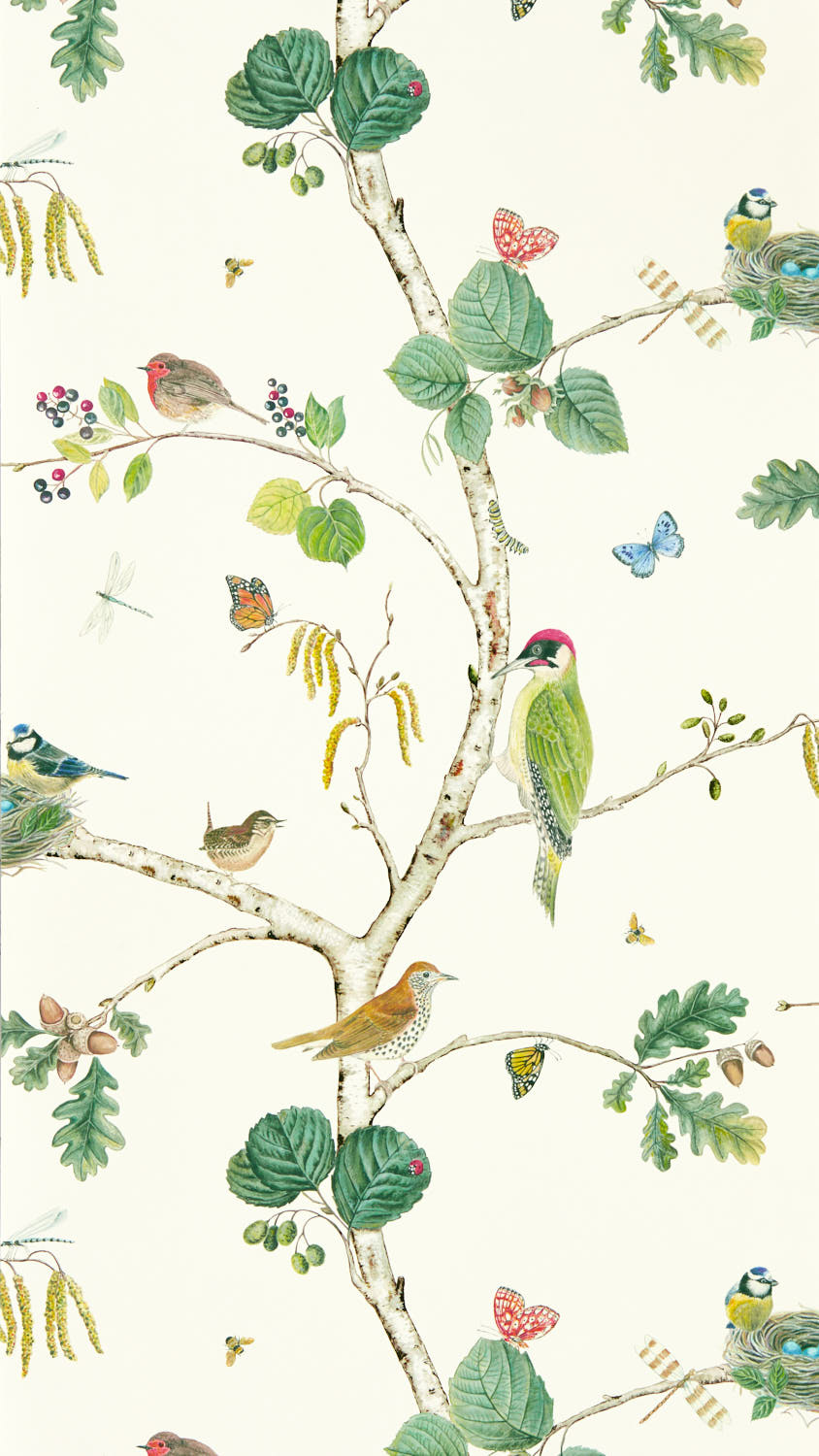 Sanderson Arboretum - 217230