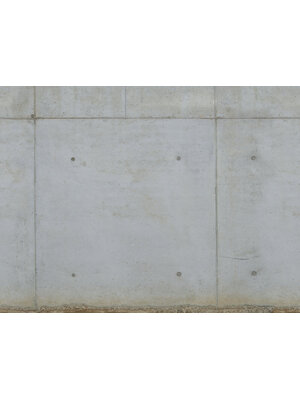 Livingwalls The Wall 2 - 39225-1