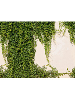 Livingwalls The Wall 2 - 39227-1
