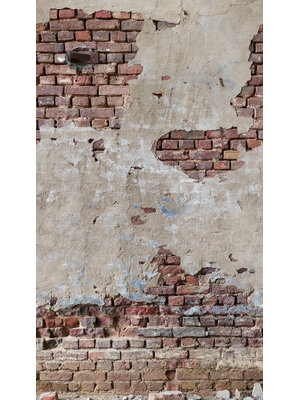 Livingwalls The Wall 2 - 39235-1