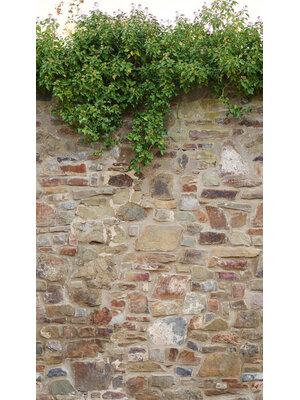 Livingwalls The Wall 2 - 39247-1