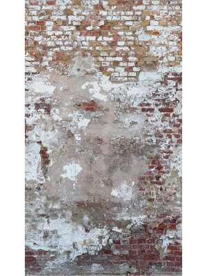 Livingwalls The Wall 2 - 39250-1