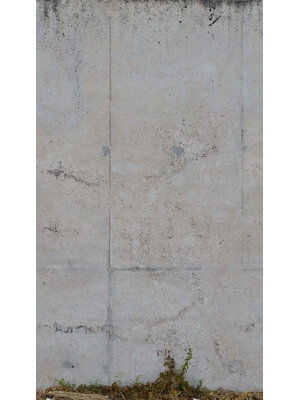 Livingwalls The Wall 2 - 39254-1 Livingwalls The Wall 2 - 39254-1