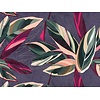 Livingwalls The Wall paars behang | 382721 Livingwalls The Wall paars behang | 382721