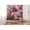 Livingwalls The Wall roze behang | 382701