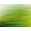 Livingwalls The Wall groen behang | 382611 Livingwalls The Wall groen behang | 382611