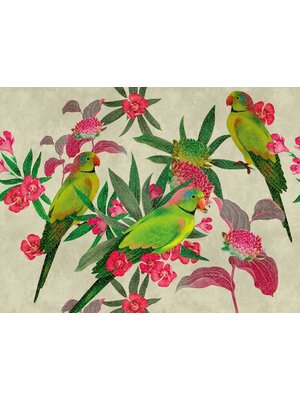 Livingwalls The Wall groen behang | 382541
