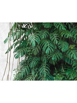 Livingwalls The Wall groen behang | 382411