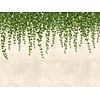 Livingwalls The Wall groen behang | 382391 Livingwalls The Wall groen behang | 382391
