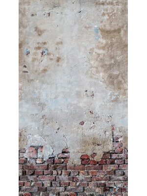Livingwalls The Wall grijs behang | 383361