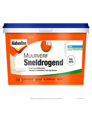 Alabastine Sneldrogende Muurverf - RAL 9010 Alabastine Sneldrogende Muurverf - RAL 9010