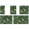 Dutch Annet Weelink Design 3 - SAFOF2M Dutch Annet Weelink Design 3 - SAFOF2M