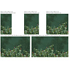 Dutch Annet Weelink Design 2 - AVIIN3 Dutch Annet Weelink Design 2 - AVIIN3