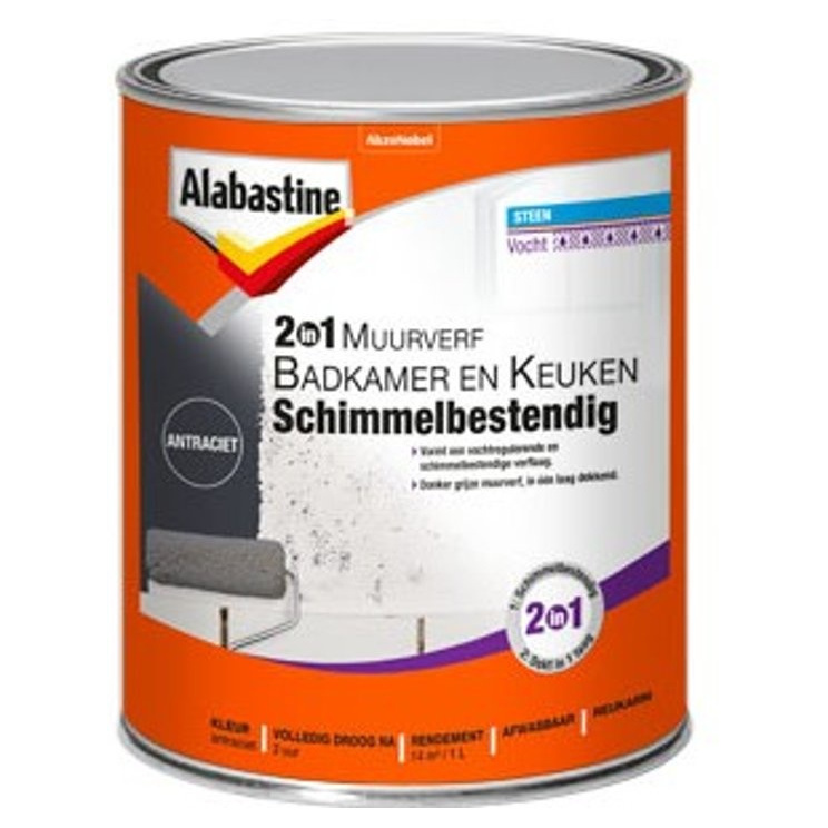 Alabastine 2-in-1 Muurverf Badkamer en Keuken Schimmelbestendig - 1 liter Antraciet