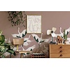 Dutch Annet Weelink Design 2 - STODB1 Dutch Annet Weelink Design 2 - STODB1