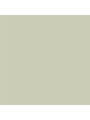 Histor MY color - Only Olive