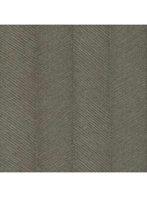 Rasch Amara - 720303