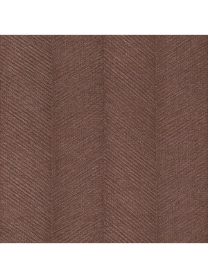 Rasch Amara - 720365