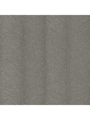 Rasch Amara - 720372