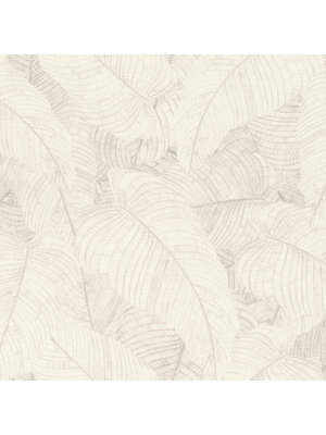 Rasch Amara - 720525