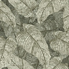 Rasch Amara - 720549