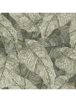 Rasch Amara - 720549