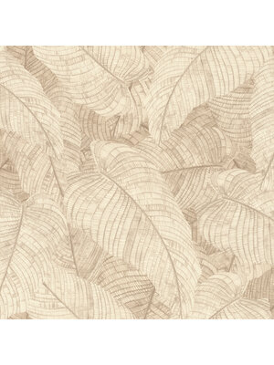 Rasch Amara - 720556