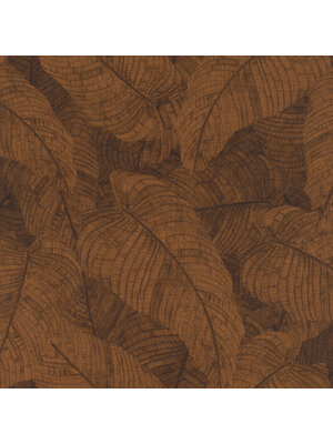 Rasch Amara - 720563