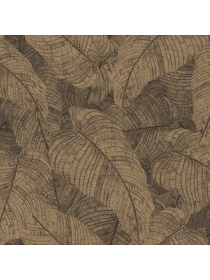 Rasch Amara - 720570