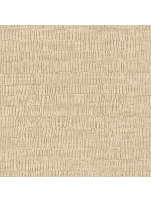 Rasch Amara - 720655