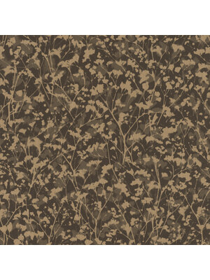 Rasch Amara - 720754