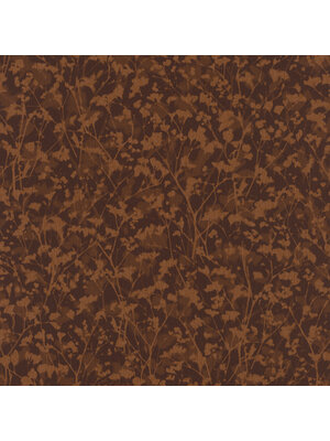 Rasch Amara - 720778