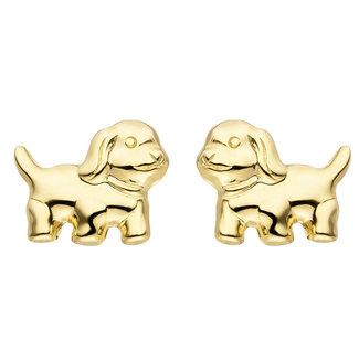 Jograbo Gouden oorknopjes puppies
