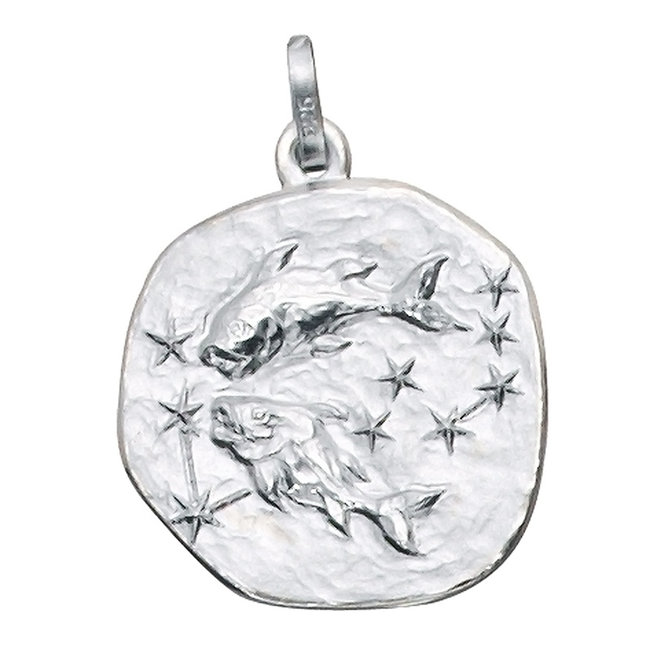 Zilveren hanger van het sterrenbeeld Vissen in matte uitvoering
