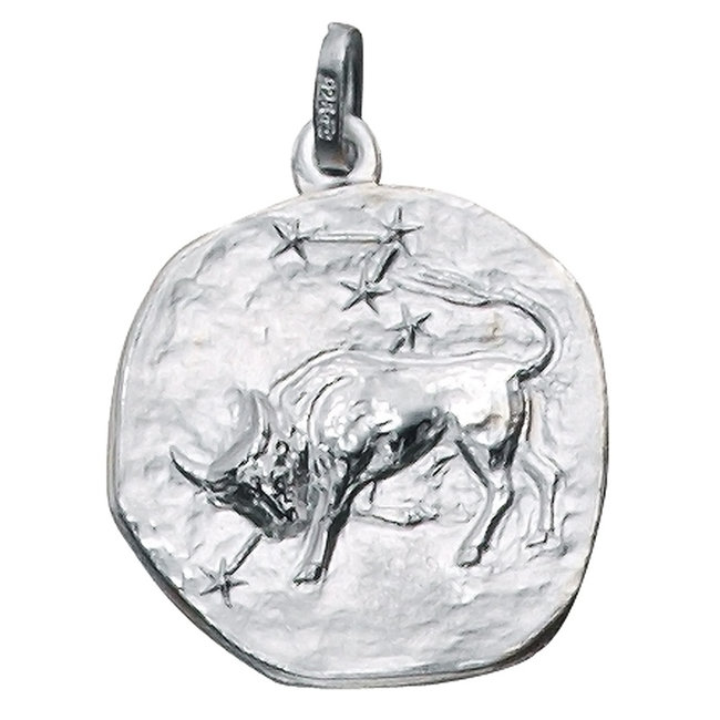 Zilveren hanger van het sterrenbeeld Stier in matte uitvoering