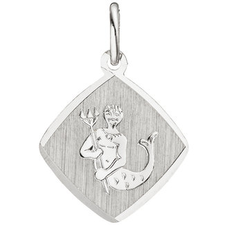 JOBO Zilveren hanger sterrenbeeld Waterman