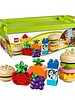 10566 Creatieve Picknick