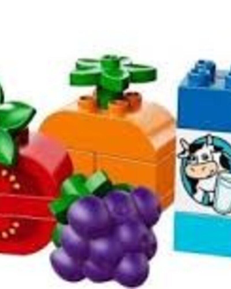 10566 Creatieve Picknick