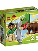 10576 Dierenverzorger