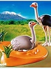 4831 Struisvogel met Nest