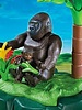 5415 Gorilla's en Okapi's