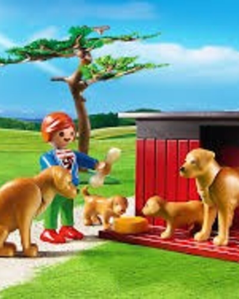 6134 Goldenretrievers met Puppies