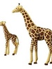 6640 Giraffe met Jong