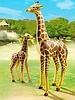 6640 Giraffe met Jong