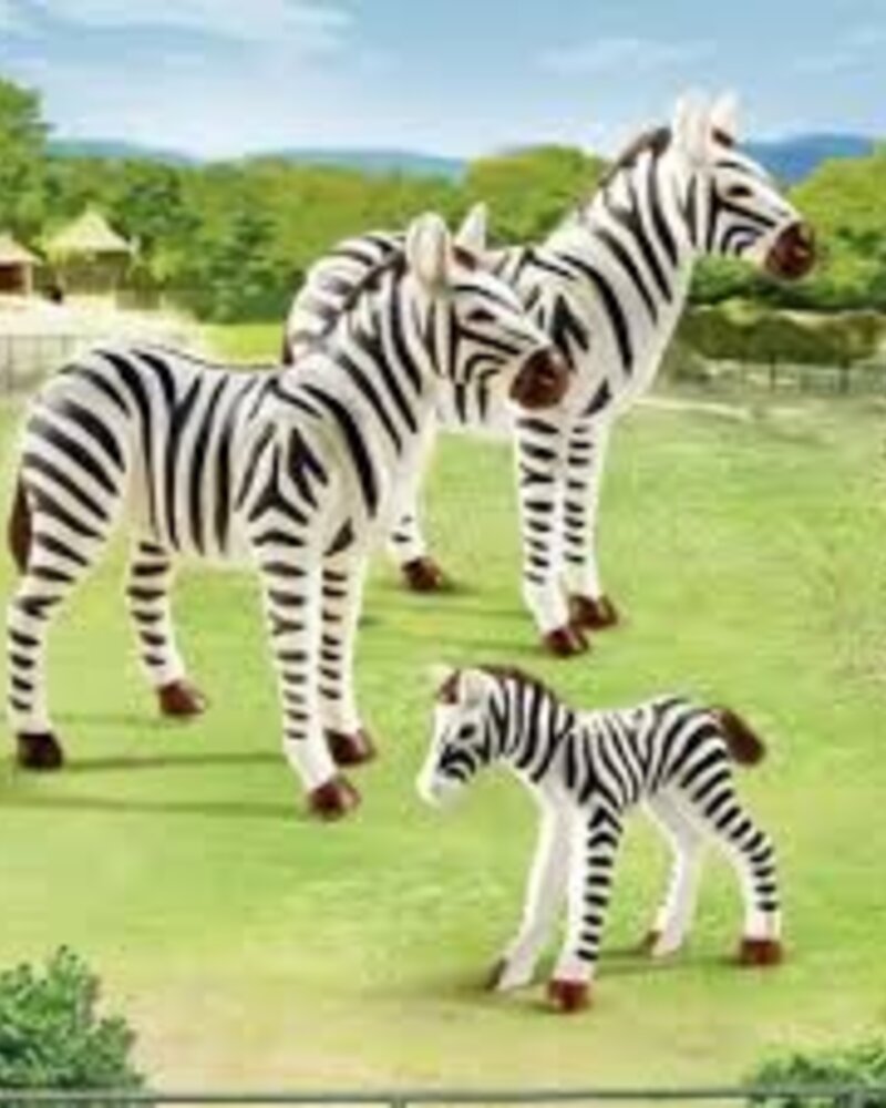 6641 Zebrafamilie