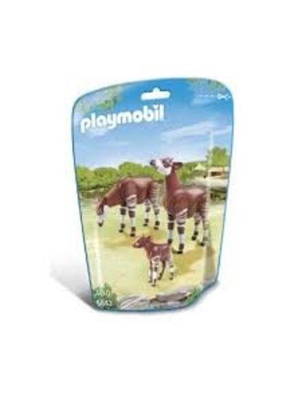 6643 Okapi's met Kalf
