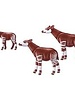 6643 Okapi's met Kalf