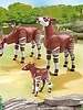6643 Okapi's met Kalf